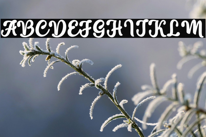 insting-Regular Example 1