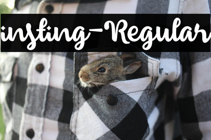 insting-Regular Example 1