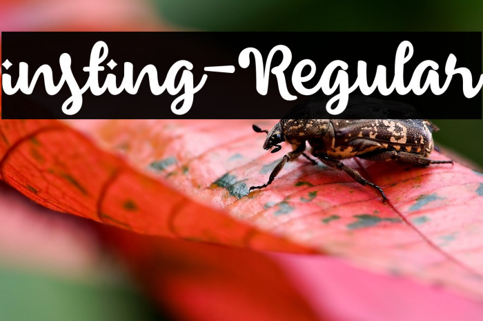 insting-Regular Example 3