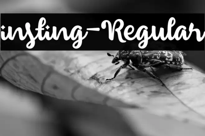 insting-Regular Font examples