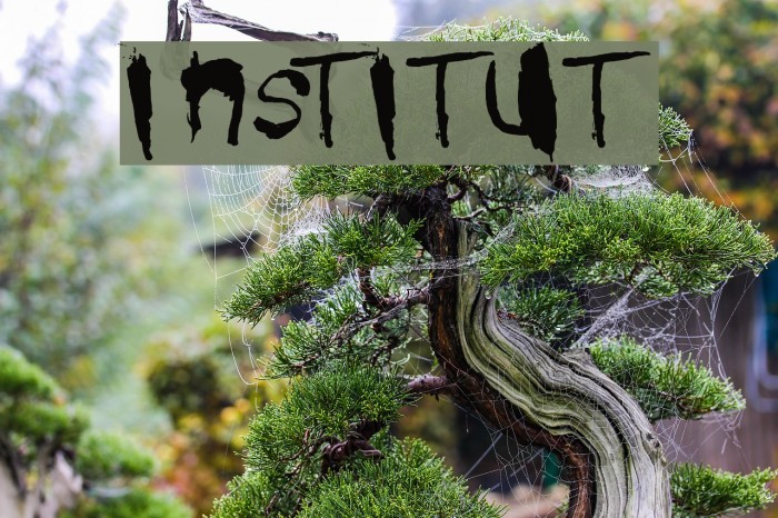 institut Font examples
