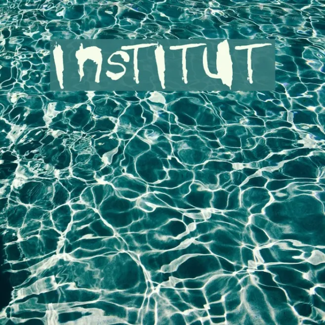 institut Example 2