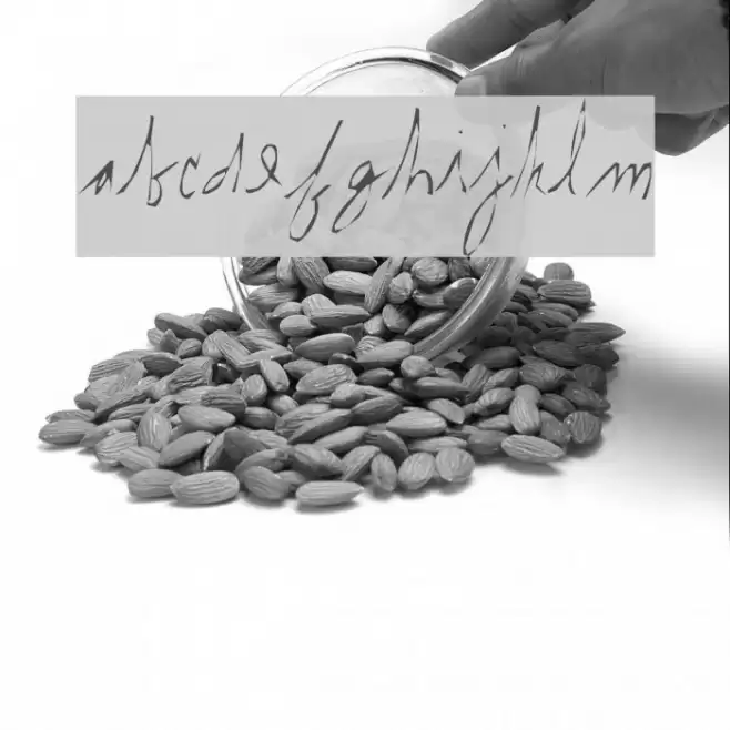 internal. Font examples