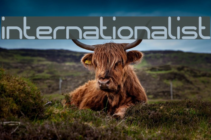 internationalist Font examples