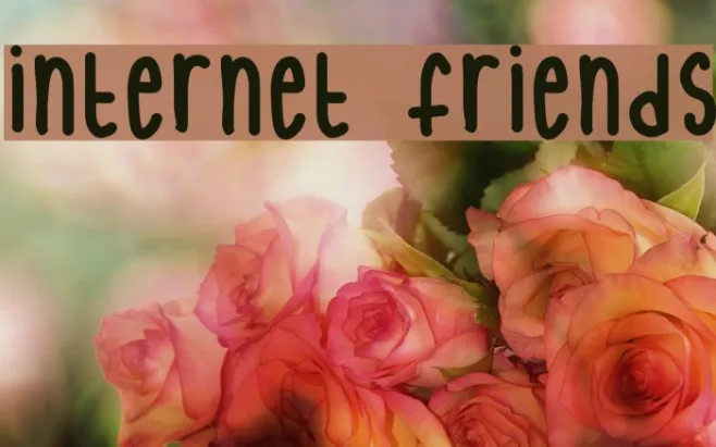 internet friends Example 1