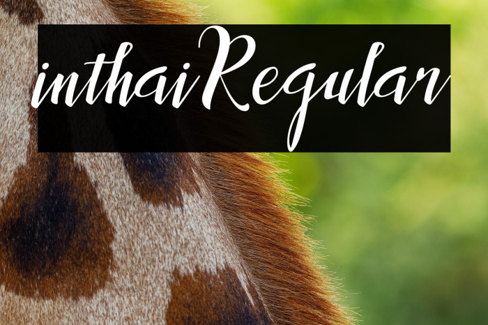 inthai-Regular Example 1
