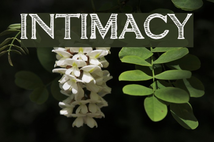 intimacy Font examples