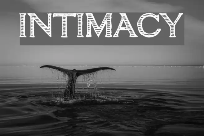 intimacy Font examples