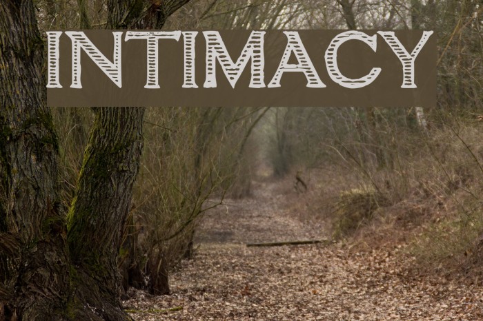 intimacy Font examples