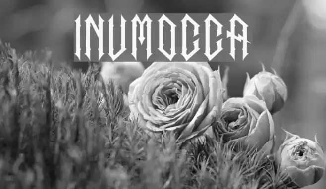 inumocca Font examples