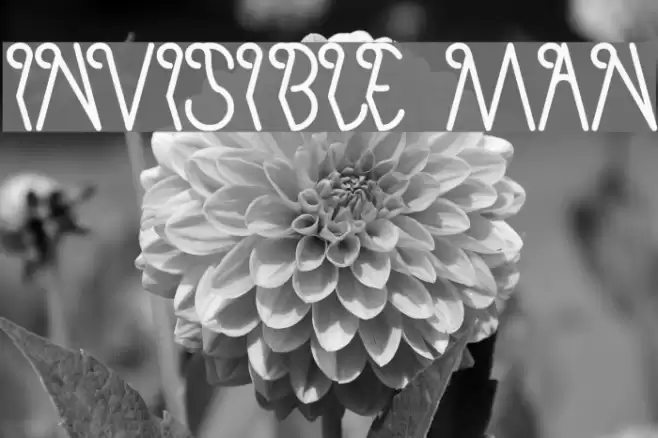 invisible man Schriftart examples