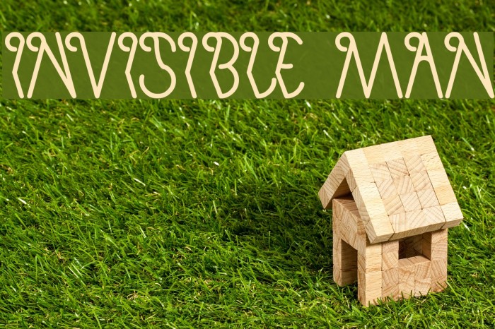 invisible man Example 3