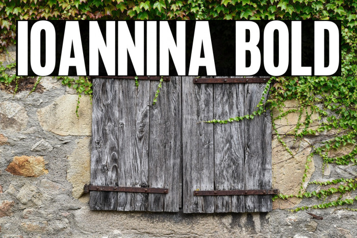 Ioannina Bold Example 3