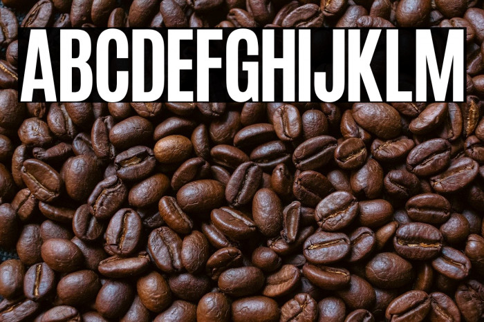 Ioannina Medium Example 1