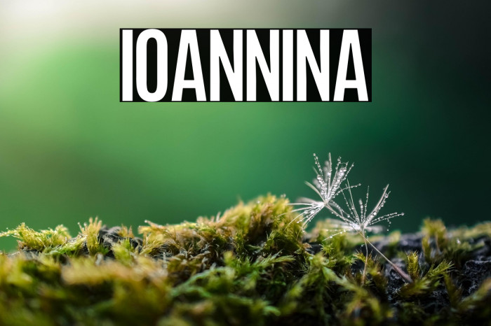 Ioannina Example 3
