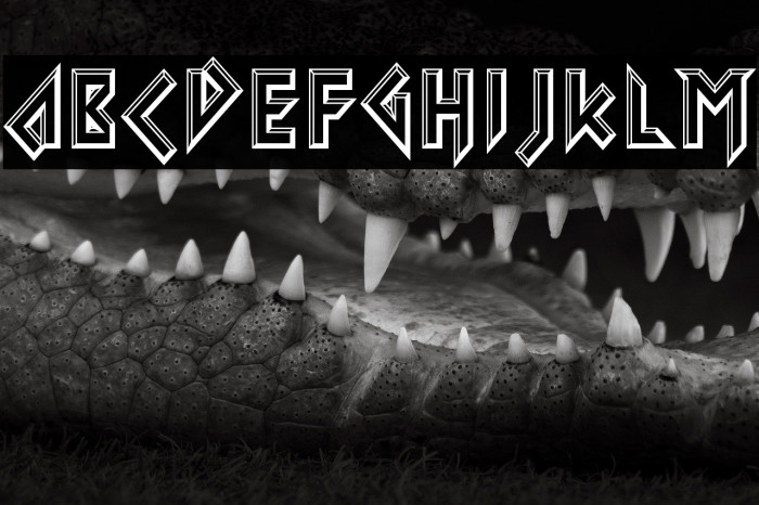 Iomanoid-Regular Example 1