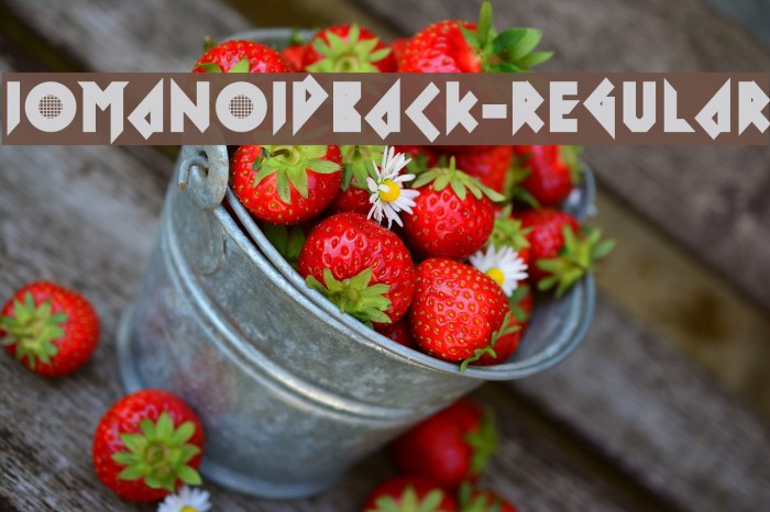 IomanoidBack-Regular Font examples