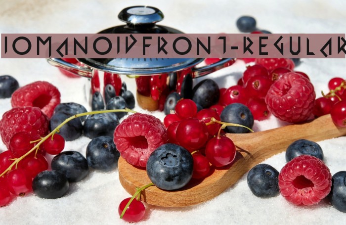 IomanoidFront-Regular Example 3