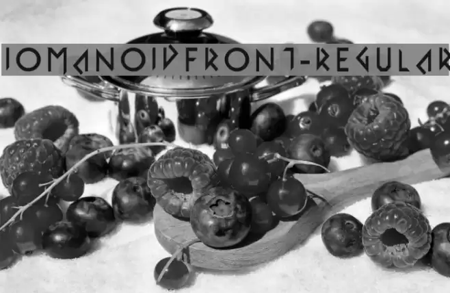 IomanoidFront-Regular Font examples