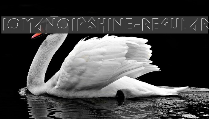 IomanoidShine-Regular Font examples