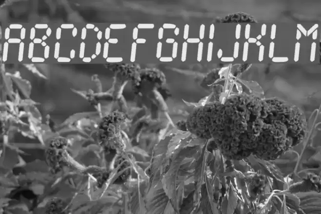 Ionic Charge Font examples