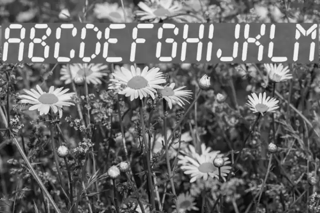 Ionic Charge Font examples