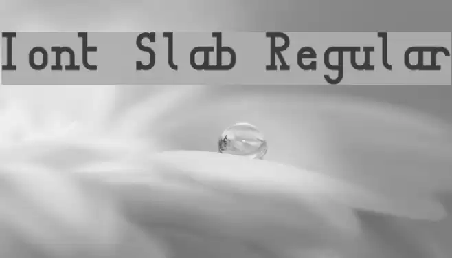 Iont Slab Regular Font examples