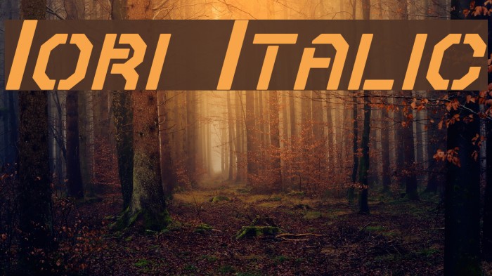 Iori Italic Font examples