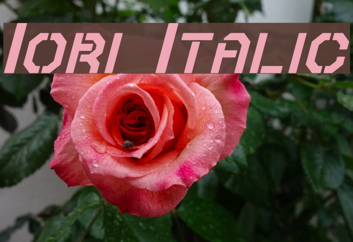 Iori Italic Font examples
