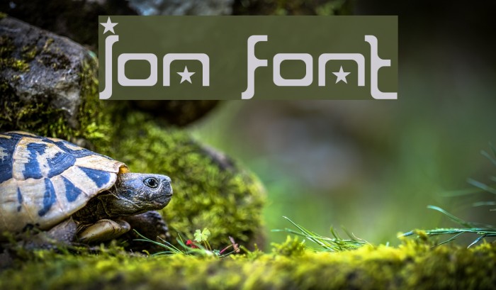 ion Font examples