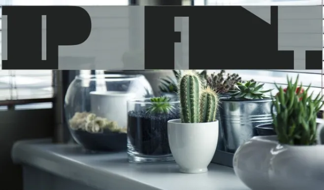 IP Example 3