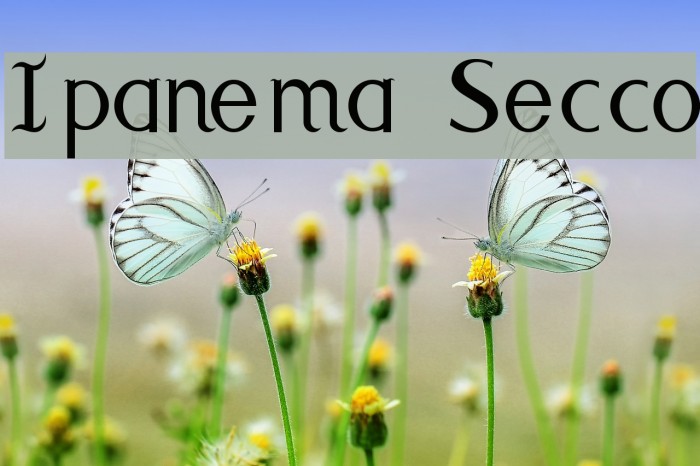 Ipanema Secco Font examples