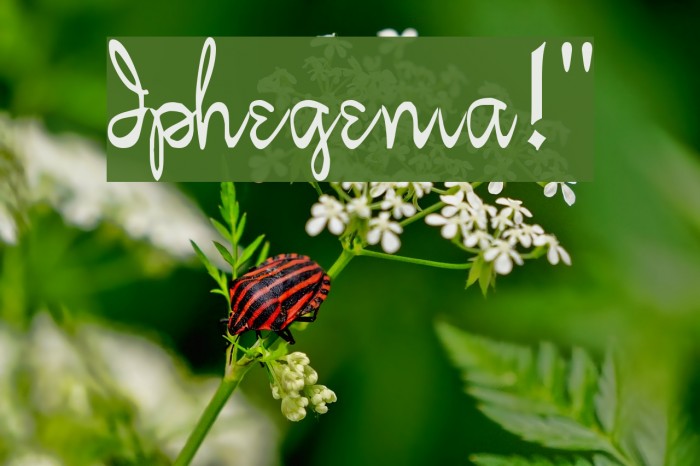Iphegenia!` Font examples