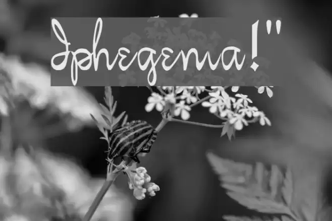 Iphegenia!` Polices examples