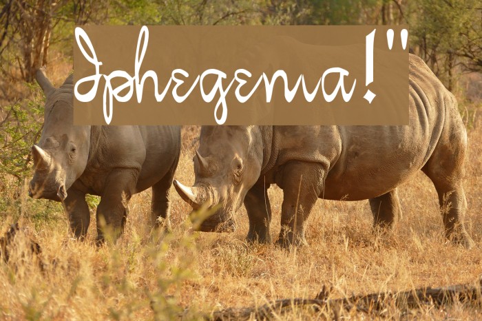 Iphegenia!` Font examples