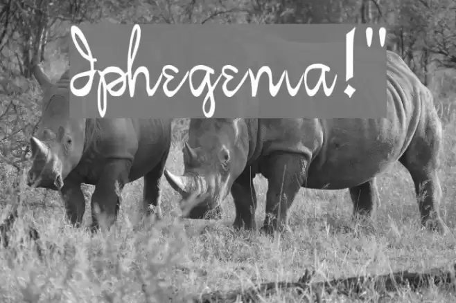 Iphegenia!` Polices examples
