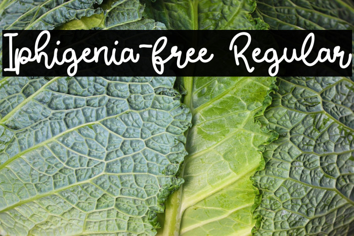 Iphigenia-free Regular Example 2