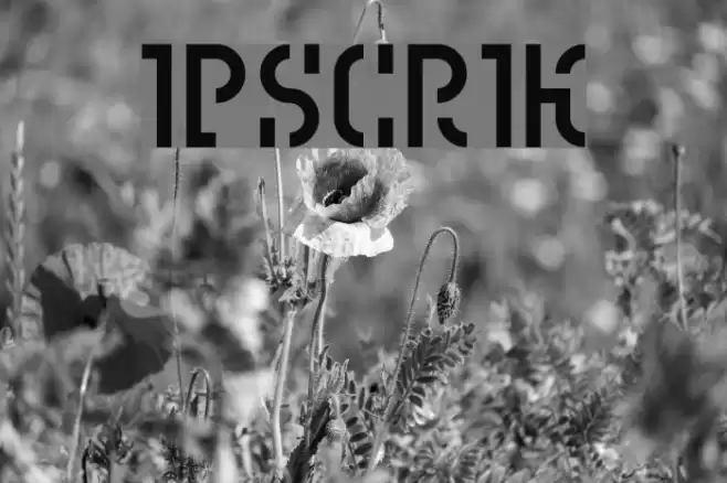 Ipscrik Font examples
