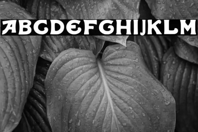 Iqbal Camel Regular Font examples