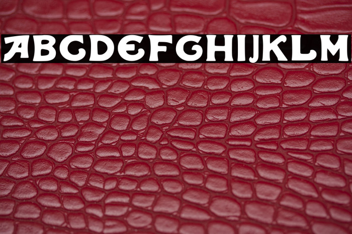 Iqbal Camel Regular Example 2