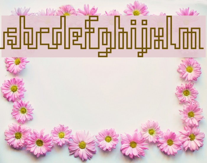 Iqq Font examples