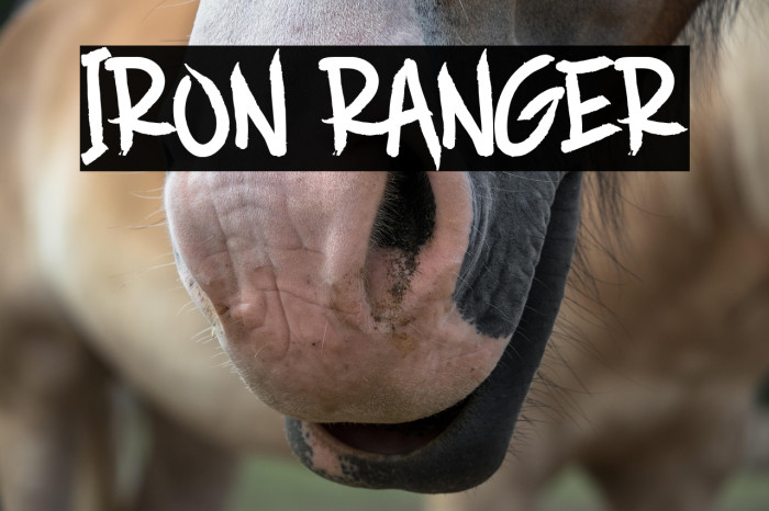 IRON RANGER Example 1