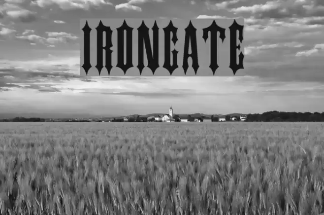 IRONGATE Шрифта examples
