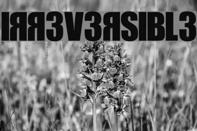 IRR3V3RSIBL3 Fonte examples