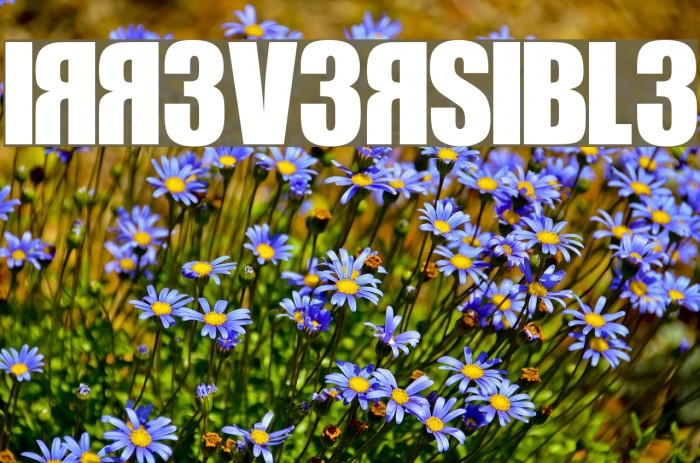 IRR3V3RSIBL3 Font examples
