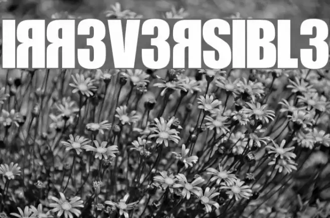 IRR3V3RSIBL3 Fonte examples