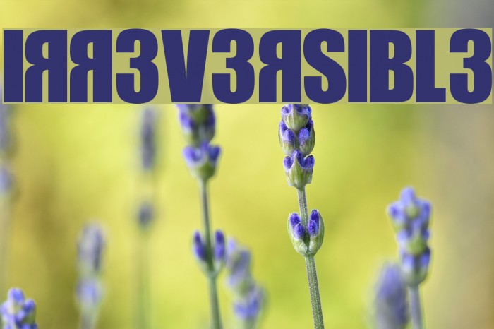 IRR3V3RSIBL3 Font examples