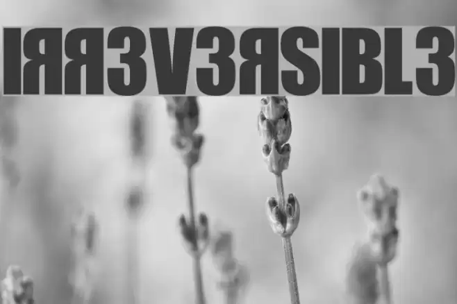 IRR3V3RSIBL3 Fonte examples