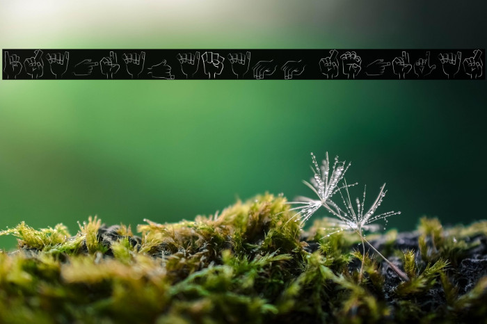 IraGuayasamín Regular Example 3