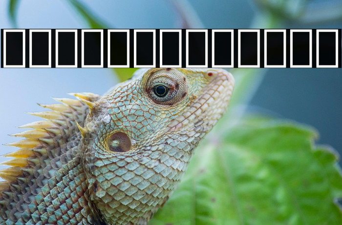 Iranian Sans Bold Example 1